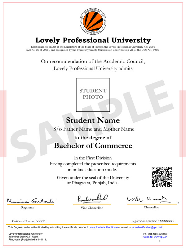 LPU Online degree sample.