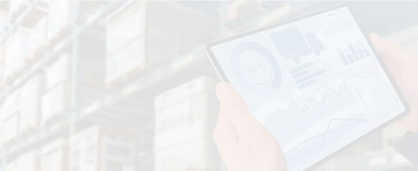 Master of Science (Economics) background